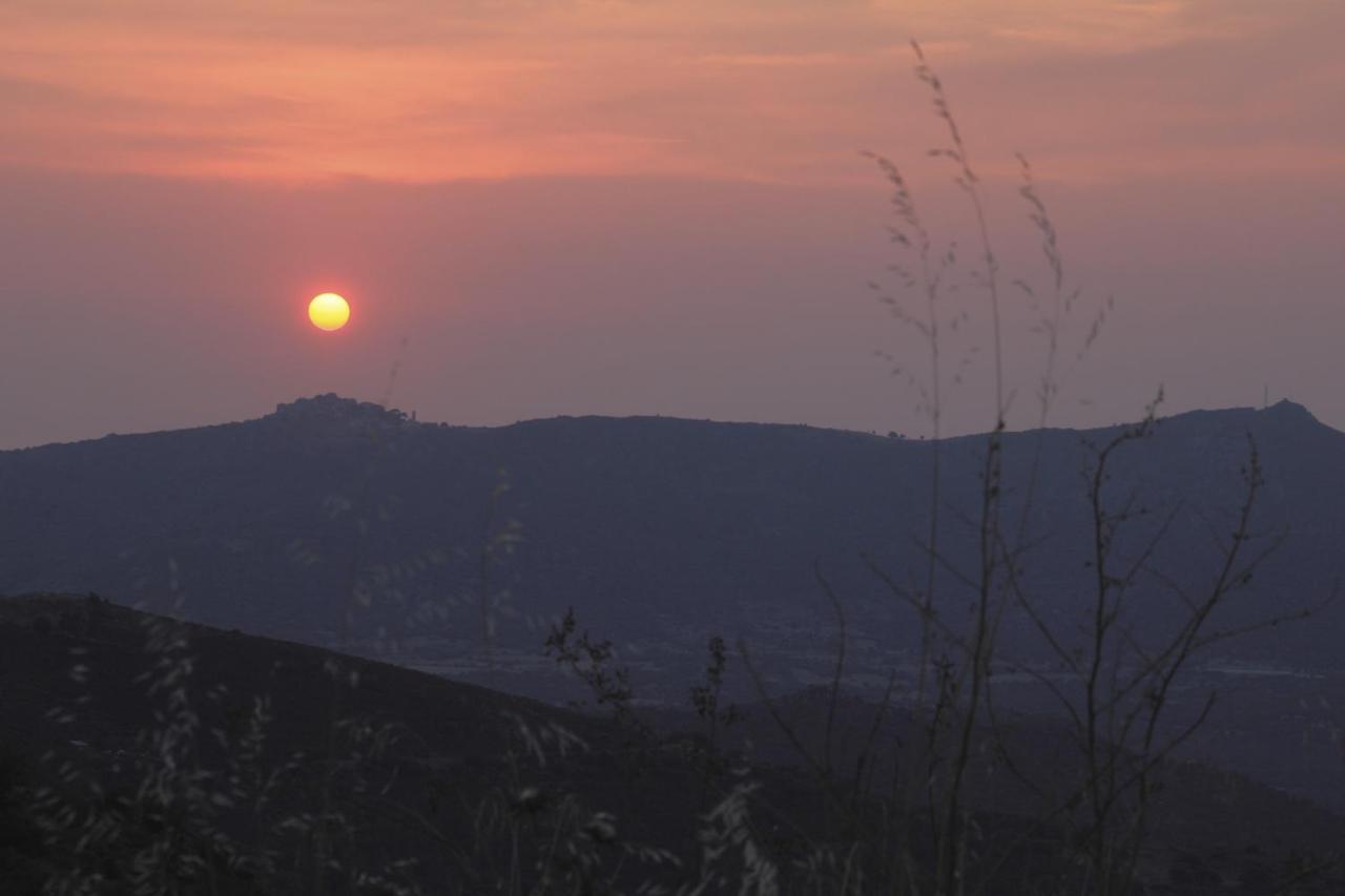 Vacancorse Maison U Canale Speloncato  ภายนอก รูปภาพ